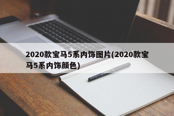 2020款宝马5系内饰图片(2020款宝马5系内饰颜色)