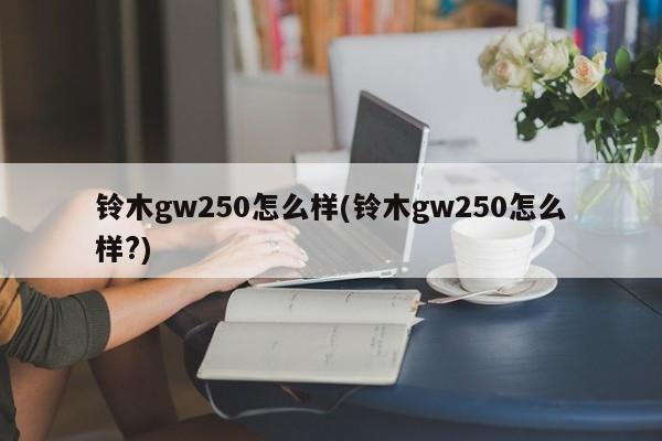 铃木gw250怎么样(铃木gw250怎么样?)