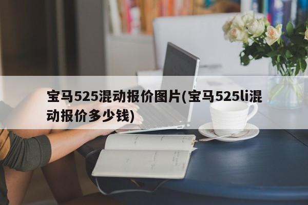 宝马525混动报价图片(宝马525li混动报价多少钱)